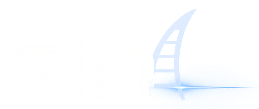 FiN